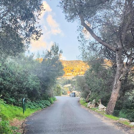 Le Mas D'Angeline, Vue Mer, Jardin Commun, Parking, Voiture Requise, 10 Min En Voiture De Monaco, Route Etroite, Pente Raide, Croisement Limite, Sea View, Shared Garden, Parking, Car Required, 10 Min Drive From Monaco, Narrow Steep Road, Limited Pass Beausoleil Exteriér fotografie