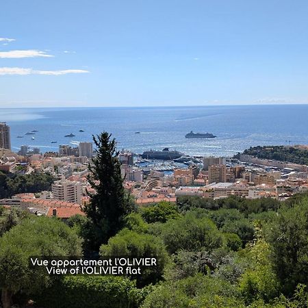 Le Mas D'Angeline, Vue Mer, Jardin Commun, Parking, Voiture Requise, 10 Min En Voiture De Monaco, Route Etroite, Pente Raide, Croisement Limite, Sea View, Shared Garden, Parking, Car Required, 10 Min Drive From Monaco, Narrow Steep Road, Limited Pass Beausoleil Exteriér fotografie