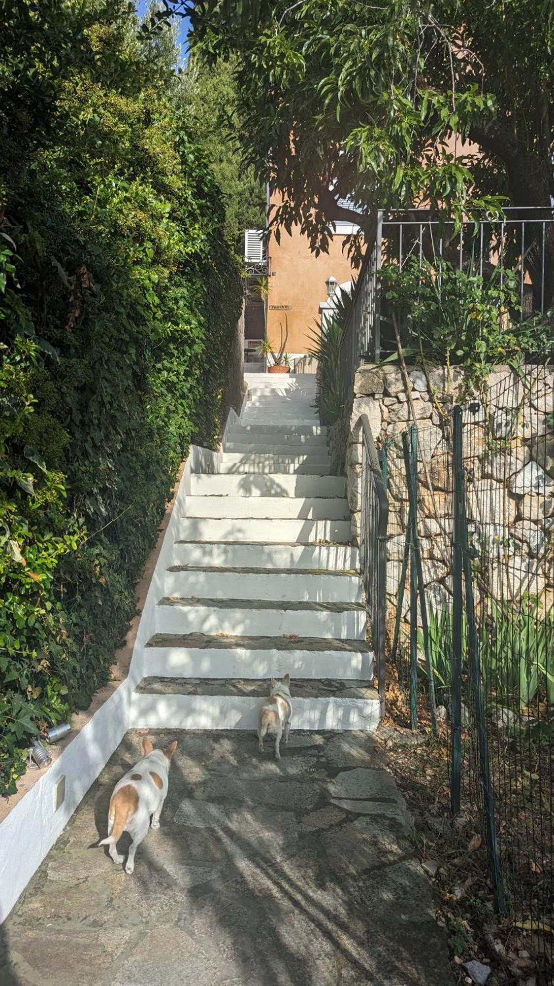 Le Mas D'Angeline, Vue Mer, Jardin Commun, Parking, Voiture Requise, 10 Min En Voiture De Monaco, Route Etroite, Pente Raide, Croisement Limite, Sea View, Shared Garden, Parking, Car Required, 10 Min Drive From Monaco, Narrow Steep Road, Limited Pass Beausoleil Exteriér fotografie
