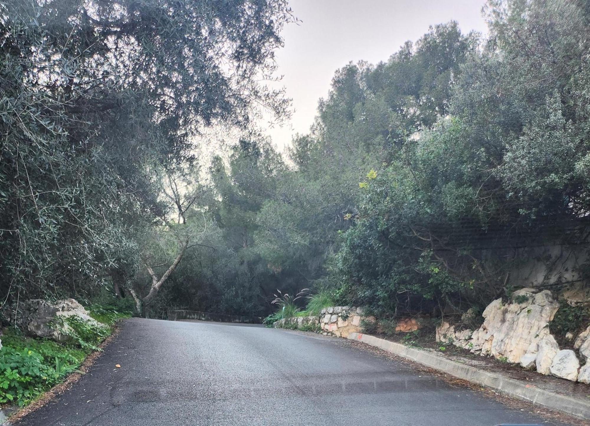 Le Mas D'Angeline, Vue Mer, Jardin Commun, Parking, Voiture Requise, 10 Min En Voiture De Monaco, Route Etroite, Pente Raide, Croisement Limite, Sea View, Shared Garden, Parking, Car Required, 10 Min Drive From Monaco, Narrow Steep Road, Limited Pass Beausoleil Exteriér fotografie
