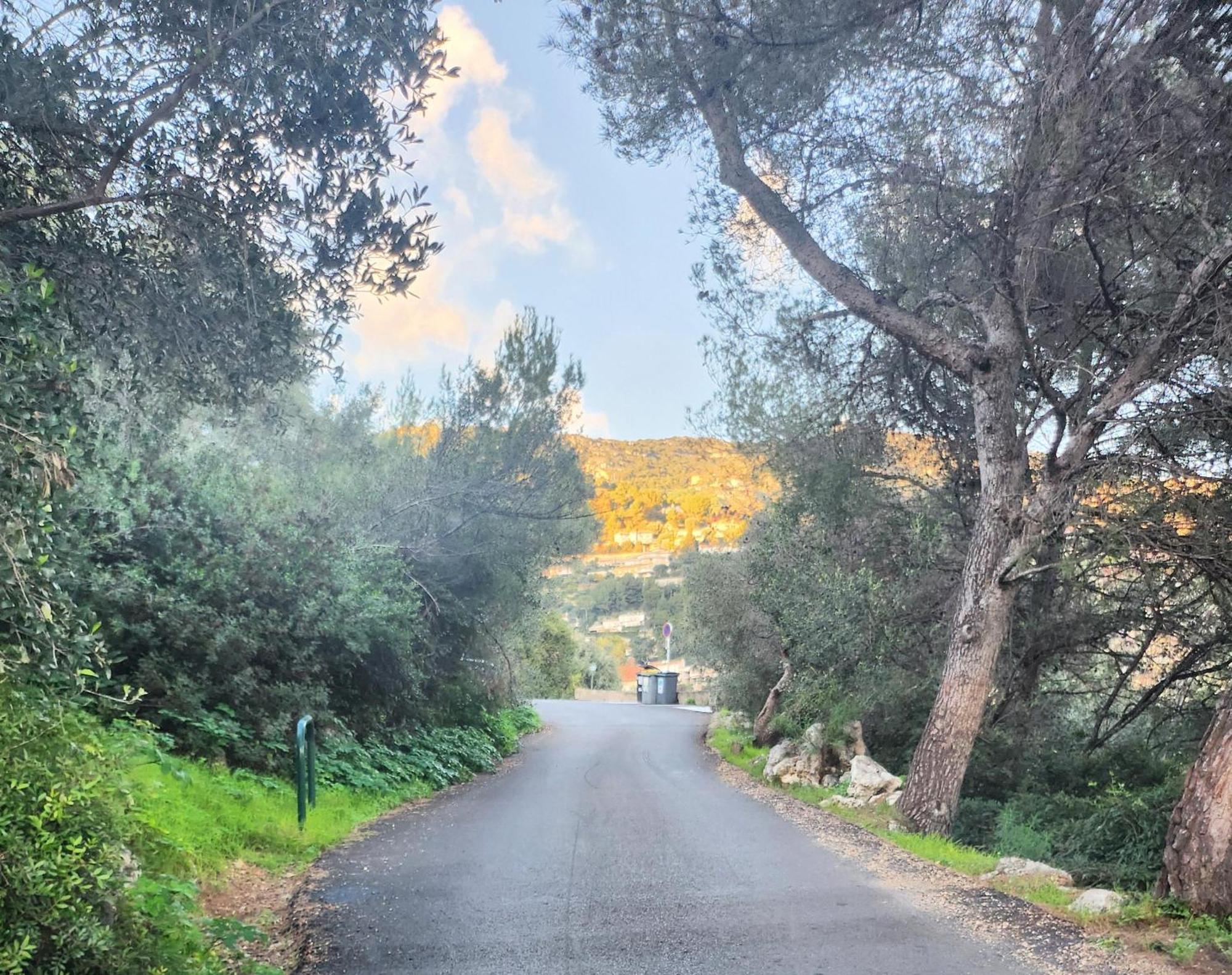 Le Mas D'Angeline, Vue Mer, Jardin Commun, Parking, Voiture Requise, 10 Min En Voiture De Monaco, Route Etroite, Pente Raide, Croisement Limite, Sea View, Shared Garden, Parking, Car Required, 10 Min Drive From Monaco, Narrow Steep Road, Limited Pass Beausoleil Exteriér fotografie