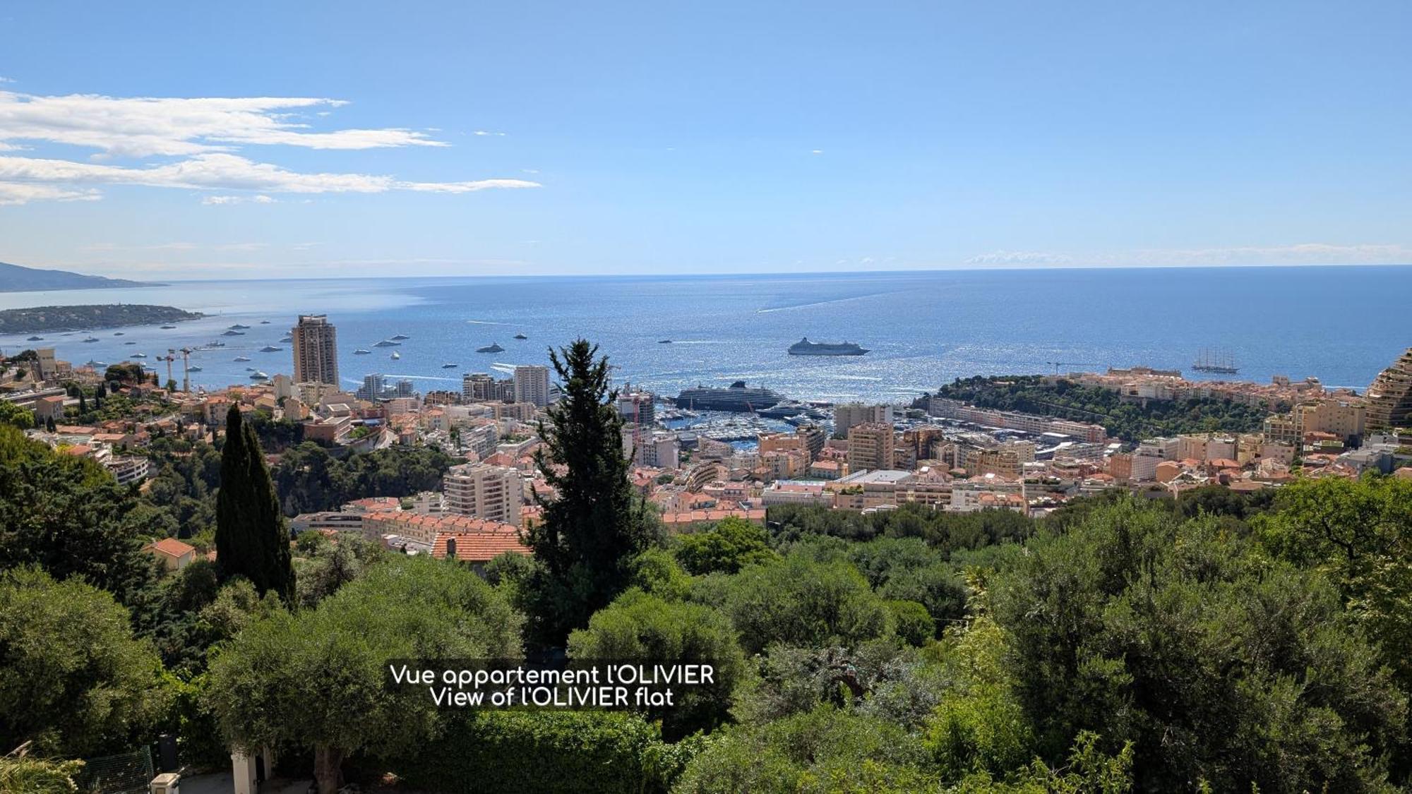 Le Mas D'Angeline, Vue Mer, Jardin Commun, Parking, Voiture Requise, 10 Min En Voiture De Monaco, Route Etroite, Pente Raide, Croisement Limite, Sea View, Shared Garden, Parking, Car Required, 10 Min Drive From Monaco, Narrow Steep Road, Limited Pass Beausoleil Exteriér fotografie